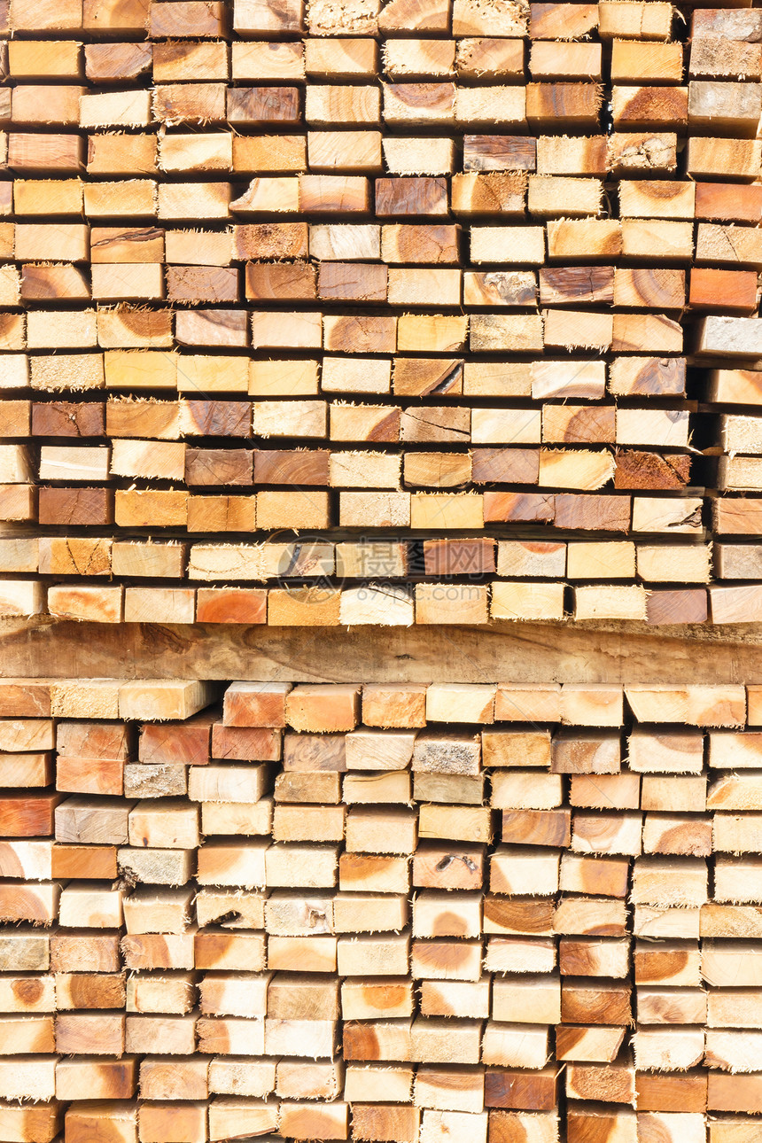 木柴堆树干建造日志木材林业材料活力松树环境柴堆图片