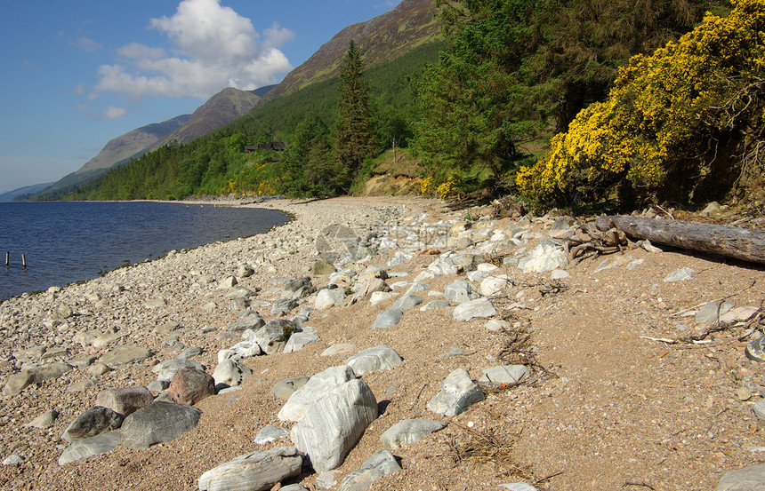 苏格兰高地湖岸 苏格兰衬套公园爬坡土地地形荒野风景文化边缘叶子图片