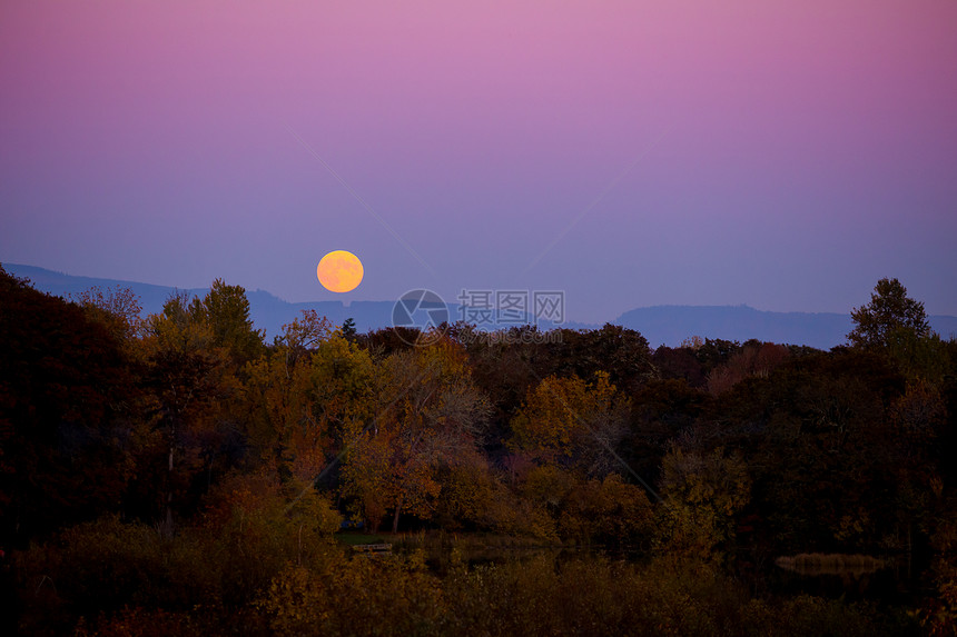 秋天的月亮升起收成行星风景粉色地平线树木天气图片