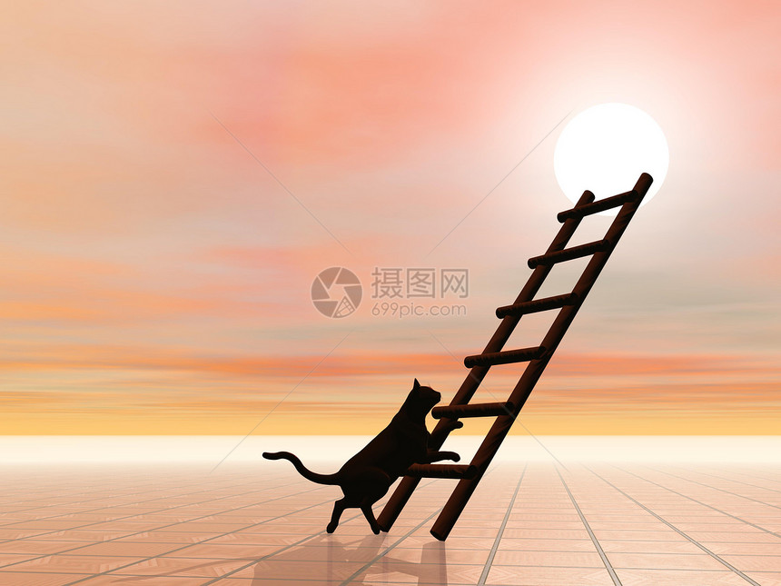 梯子和猫 - 3D图片