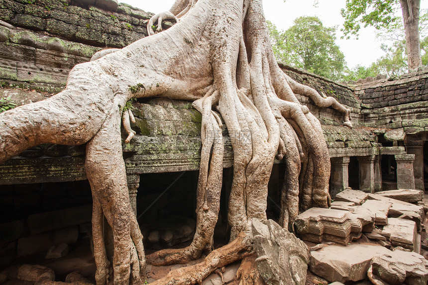 Preah Khan 寺庙 柬埔寨暹粒图片