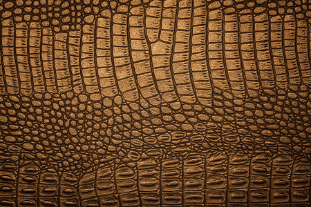 鳄鱼纹理艺术巧克力高清图片