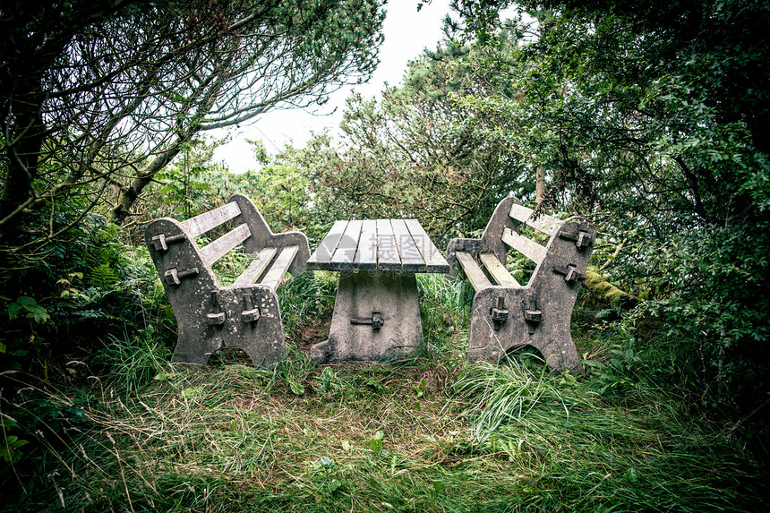 旧长椅爬坡公园场景乡村叶子木头花岗岩苔藓椅子野餐图片