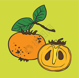 新鲜红柿子Persimmon 双环西蒙绘画食物蔬菜团体夹子素描叶子作品种子热带设计图片
