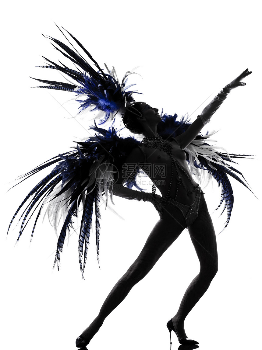 表演女艺人跳舞蹈歌女音乐厅舞台女士白色娱乐舞蹈家羽毛女性歌舞图片