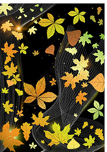秋季背景摘要网络亮度金子橡木插图橙子卡片网站辉光销售背景图片