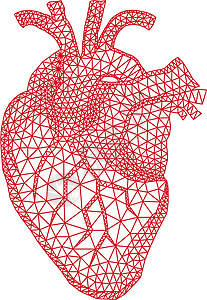 解剖学素材网带有几何模式的心脏 矢量插画