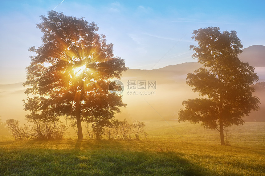 日出光束穿过雾树环境植物太阳风景季节国家阳光薄雾爬坡土地图片