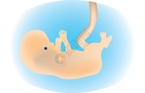 安布罗焦安布罗医院母性药品孩子怀孕生活肚子激素极端主义者测试插画