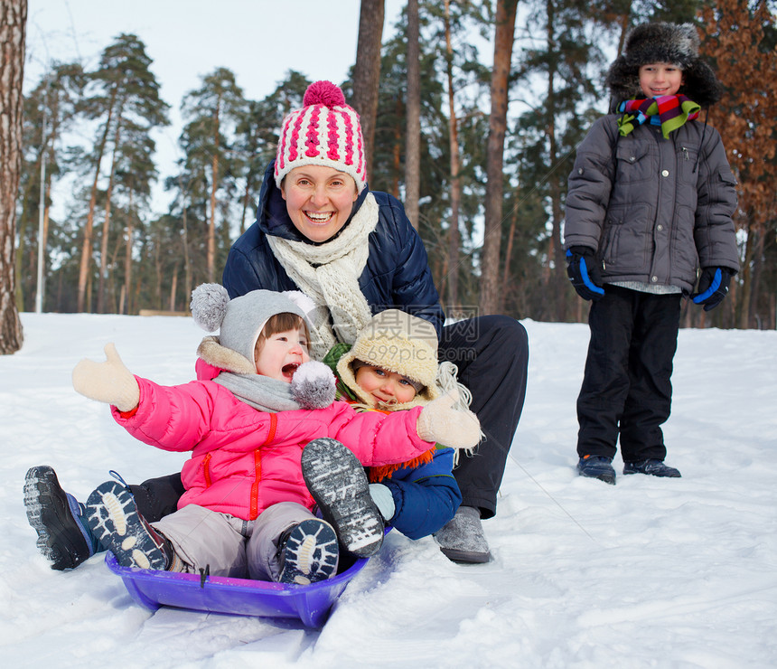 有趣的家庭在冬季风景中滑雪速度乐趣安全雪橇孩子们松树喜悦闲暇时间父母图片