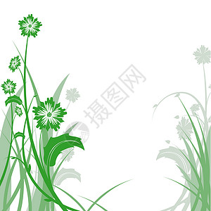卷草绿色植物创造力叶子绿色风格花朵植物装饰植物学曲线卷曲插画