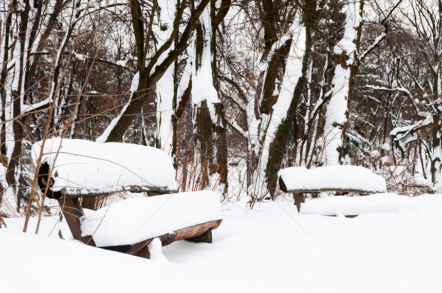 公园的雪冬降雪季节途径孤独季节性场景长椅雪堆森林城市图片