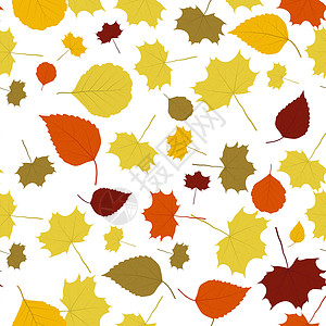抽象的秋季背景叶子棕色插图墙纸黄色艺术灼烧季节白色树叶背景图片