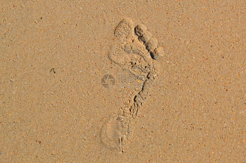 在沙滩上赤脚的人的踪迹打印人迹图片