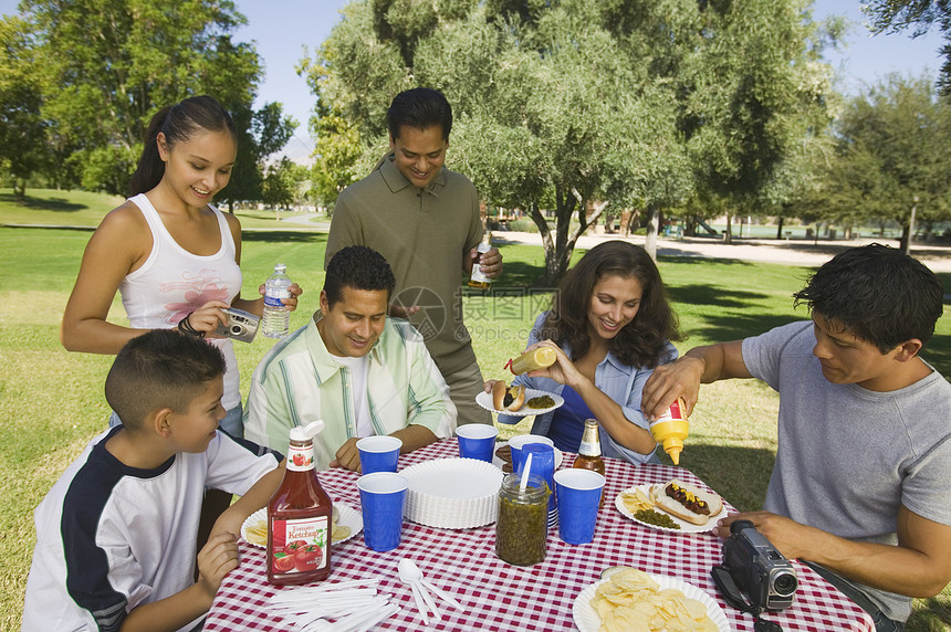 男孩1315岁和家人在野餐饮食朋友们公园享受成年人社交家庭生活男子成人活动图片