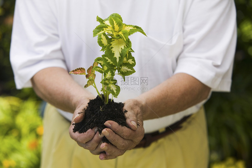 一位在花园里种植物的老人的中产阶级图片