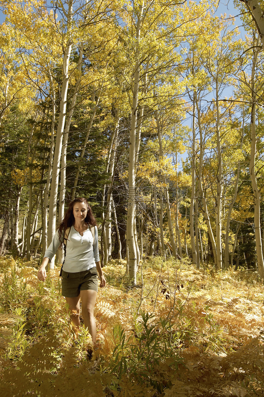 在森林中行走的年轻女性徒步青年图片