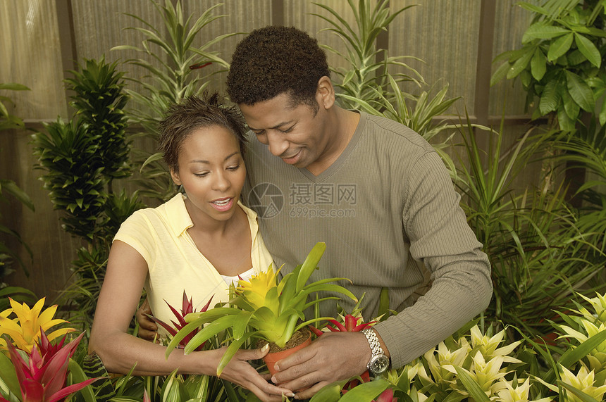 中年非裔美洲人夫妇在植物园购买陶植厂的植物园图片