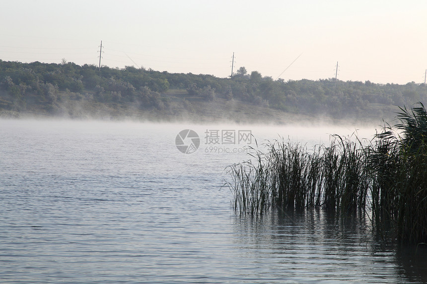 向日向全景场景追求芦苇风暴太阳薄雾阳光地平线艺术图片