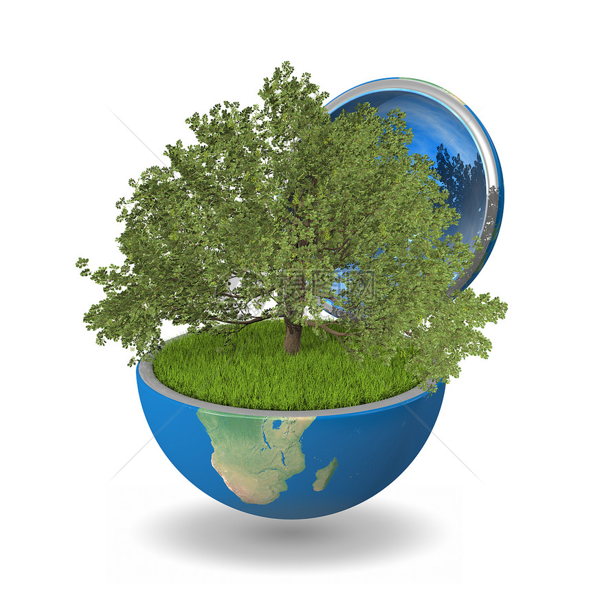 行星内的橡树树生态蓝色生物植物生长橡木概念生活绿色地球图片