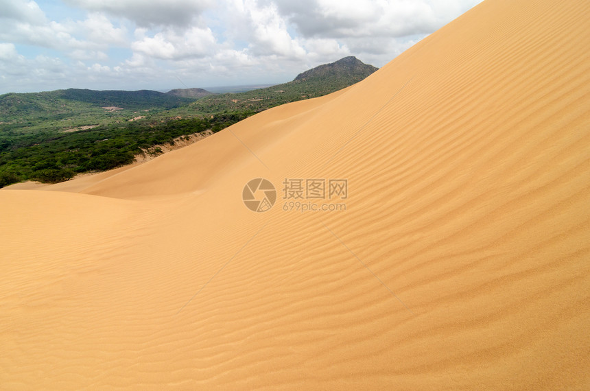 Sand Dune 波图片