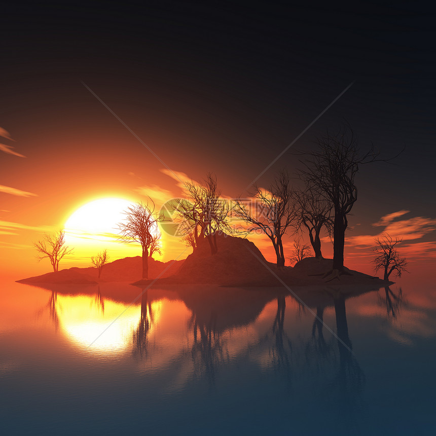 枯树岛和日落图片