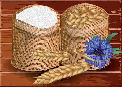 燕麦面粉小麦和面粉插画