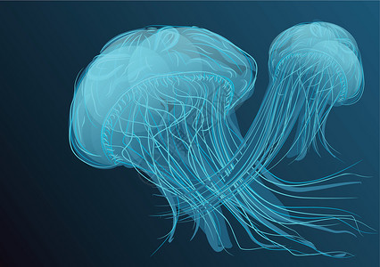 水水母鱼游泳荧光热带磷光蓝色触手动物海蜇水族馆插画