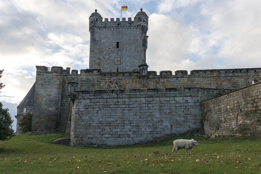 位于德意志的不祥弯曲海姆城堡旗帜蓝色红色动物废墟石头黑色绿色黄色哺乳动物图片