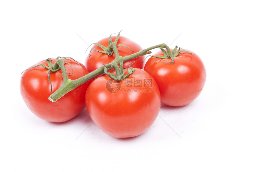 白背景的葡萄藤上的番茄市场藤蔓维生素营养生产沙拉水果红色食物白色图片