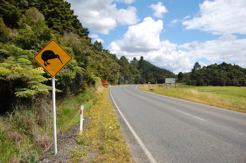 路边黄色kiwi鸟儿路牌图片