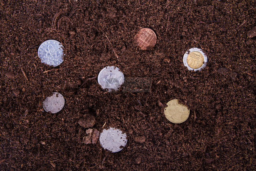土壤中生长的COins生态硬币宏观团体生活地形经济草地财富环境图片