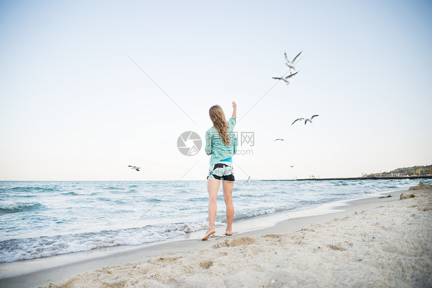 年轻女孩喂养海鸥女士女性假期翅膀海滩跨度运动蓝色食物阳光图片