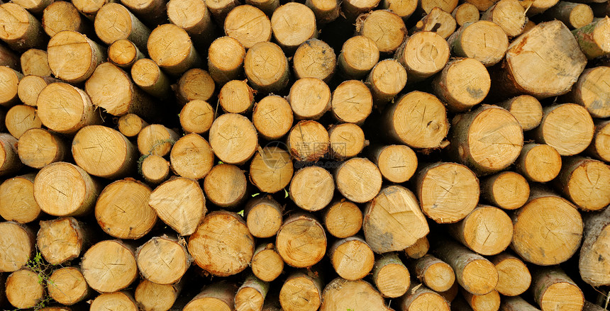 木柴堆森林日志纹理建筑环境资源壁炉库存木材林业图片
