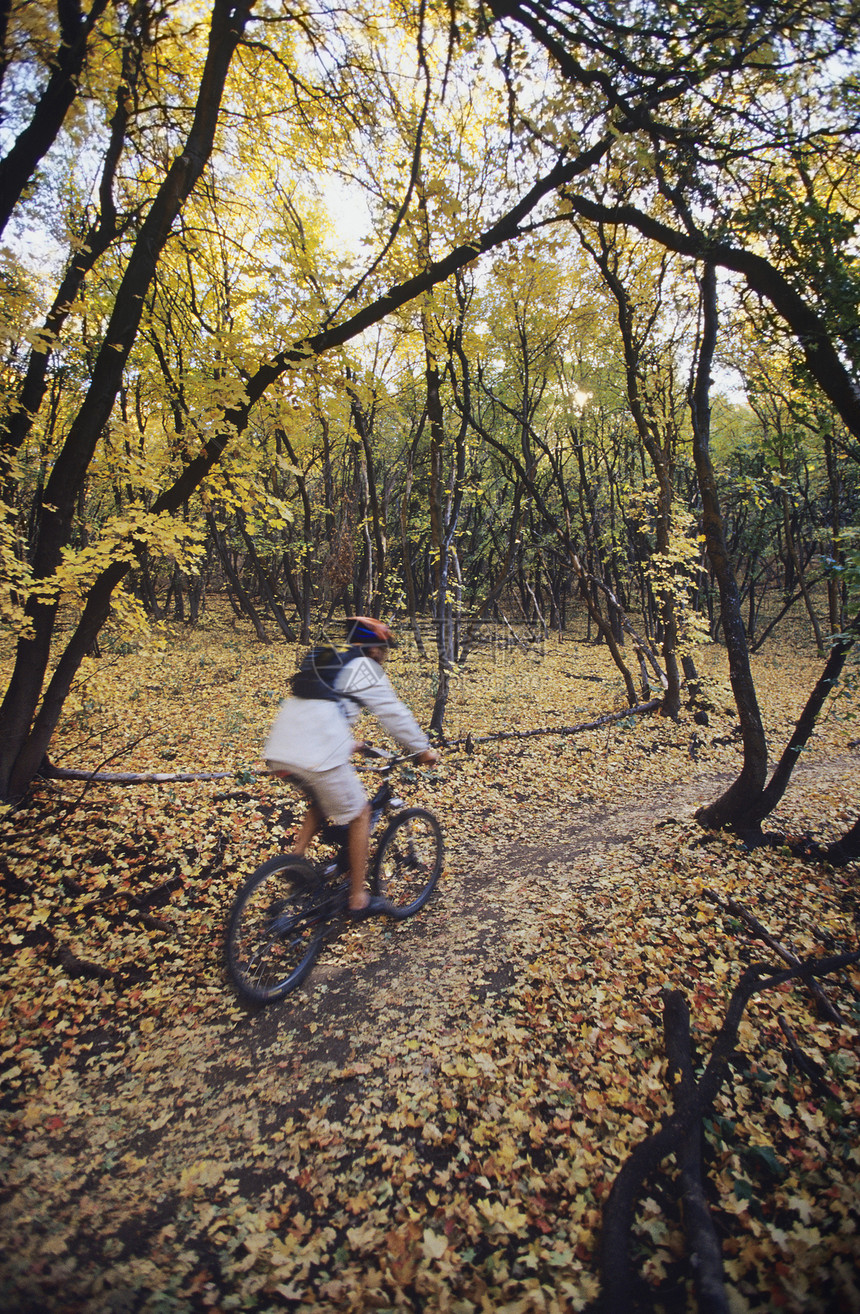 骑车者在森林沿途行驶活动活力男士树木林地闲暇男性踪迹休闲运动图片