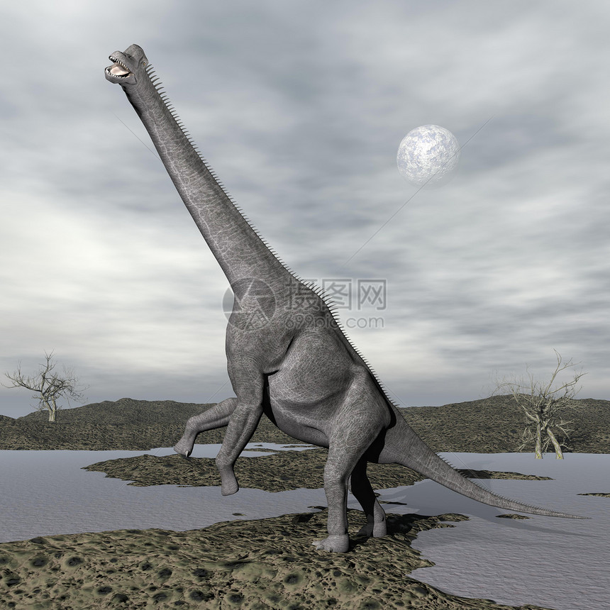 3D类三维转化插图荒野岩石脊椎动物动物野生动物爪子灭绝蜥蜴爬虫图片