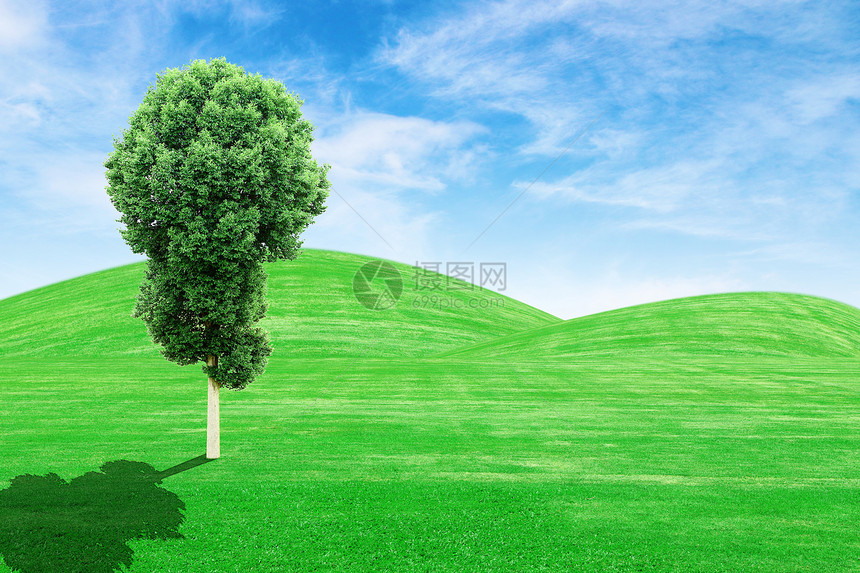 绿草山和有天空的树蓝色叶子国家牧场环境阳光农场远景生长树木图片