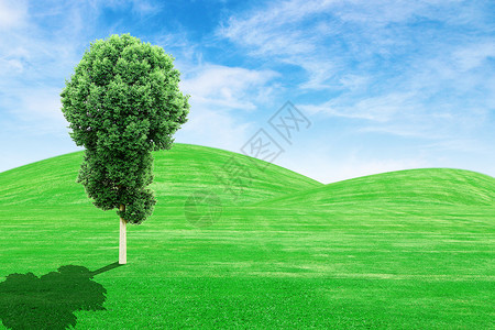 绿草山和有天空的树蓝色叶子国家牧场环境阳光农场远景生长树木背景图片