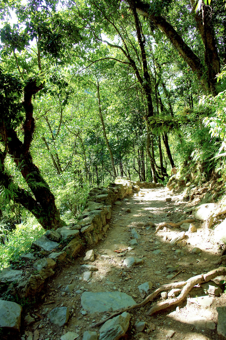 美丽的海马拉扬森林景观 前往安娜普尔纳基地Cam探索小路旅游树木山脉石头环境旅行山沟热带图片