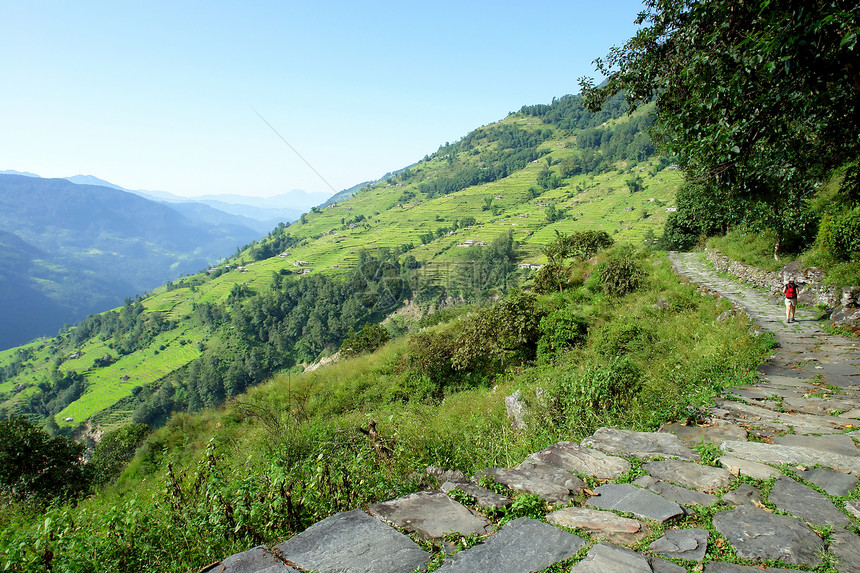 喜马拉雅山的特雷克山脉 Annapurna保护 Regi图片