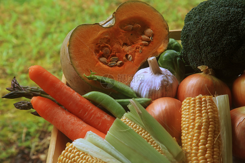 水果和蔬菜市场果汁农场农业食品生长创造力农民烹饪团体图片