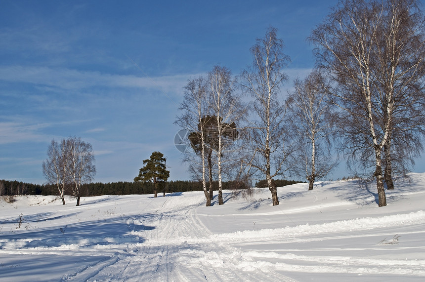 冬天在山上景观娱乐分支机构木头阳光途径小路森林树干路线图片
