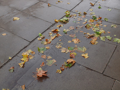 人行道上的叶子天际场景城市路面背景图片
