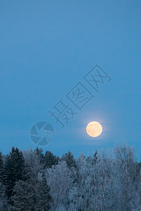 冰霜覆盖森林的满月背景图片