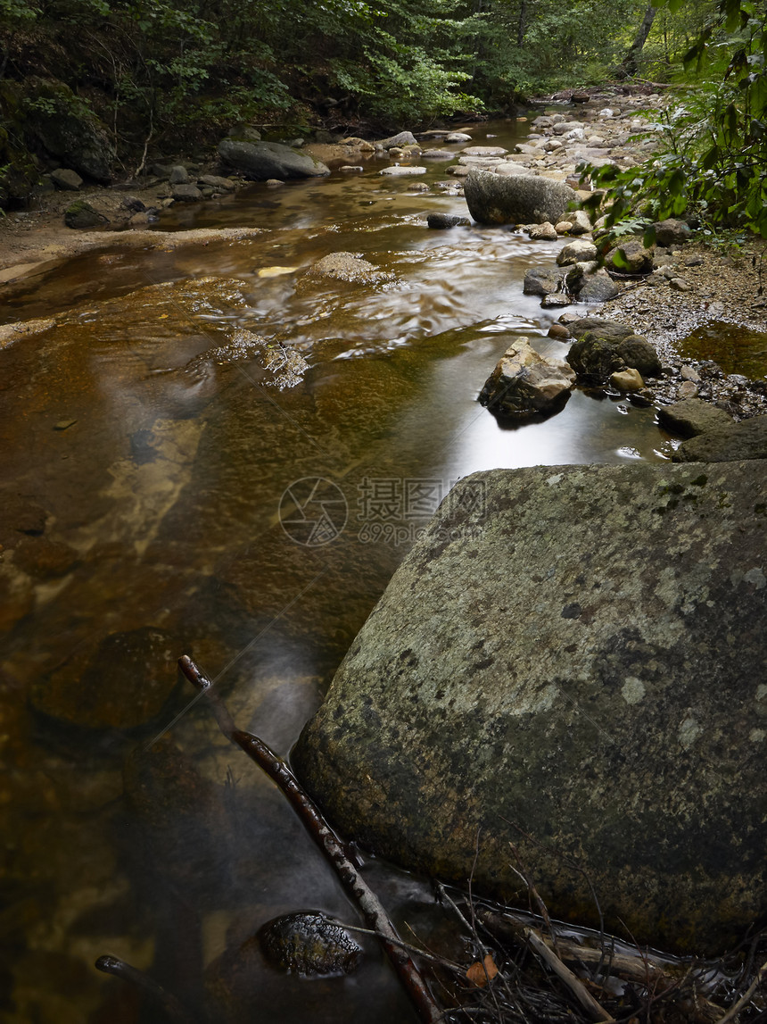 森林中的溪流叶子植物风景晴天水池岩石苔藓森林季节绿色图片