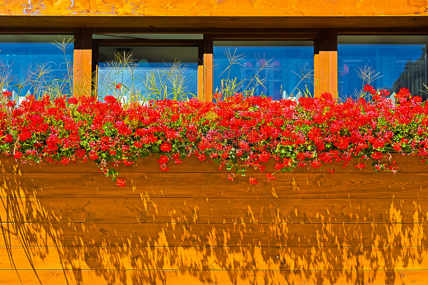 鲜花光束木板装饰框架风格窗户木头住宅阳台房子图片
