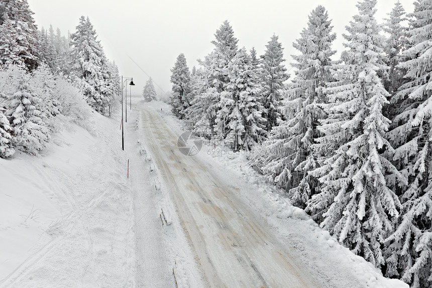 雪地高速公路运动商业驾驶森林树木车道过境路口基础设施主路图片