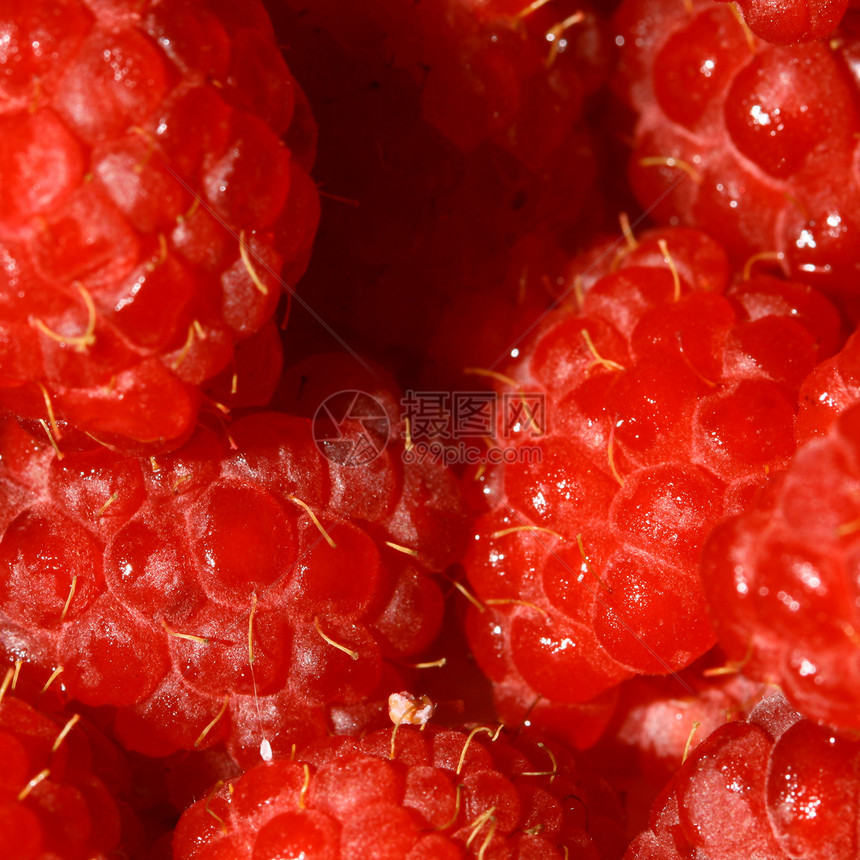 树莓草莓饮食食物甜点宏观红宝石蔬菜营养种子荒野覆盆子图片
