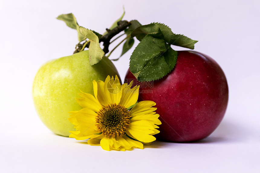 黄黄花 绿色和红苹果植物群白色水果营养农业甜点花瓣植物食物黄色图片