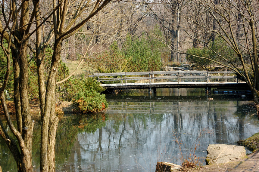 日本花园中的木环桥图片